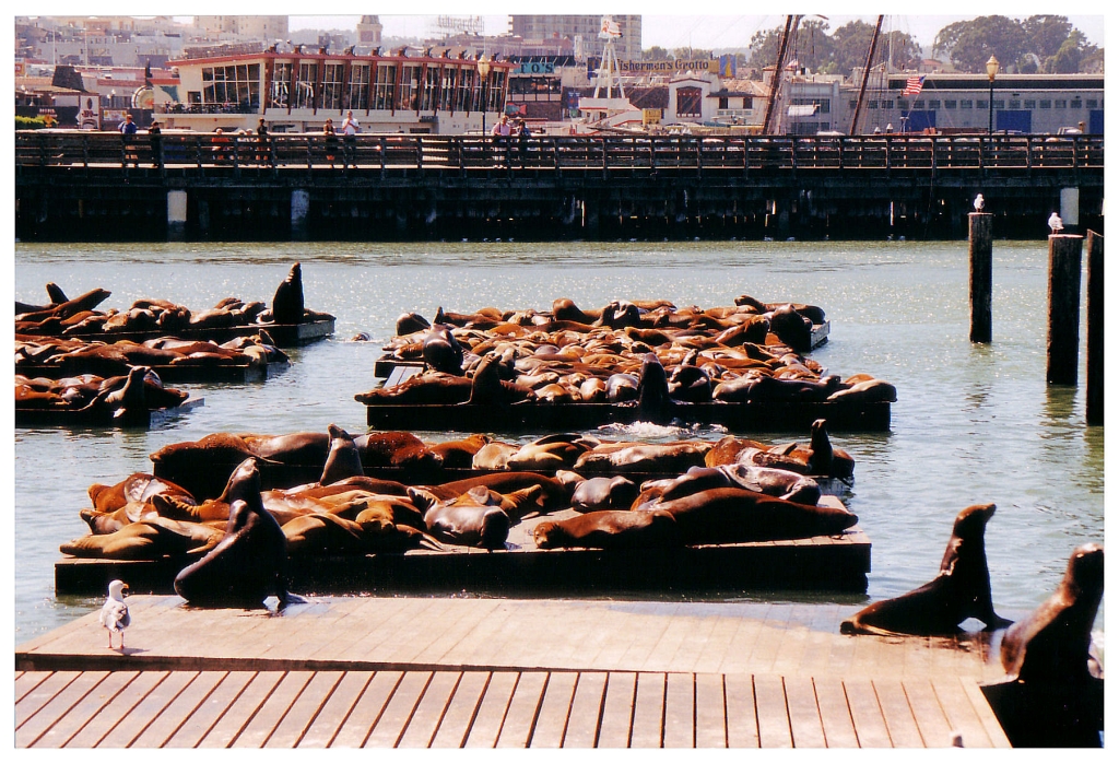 01 - San Francisco (19).jpg